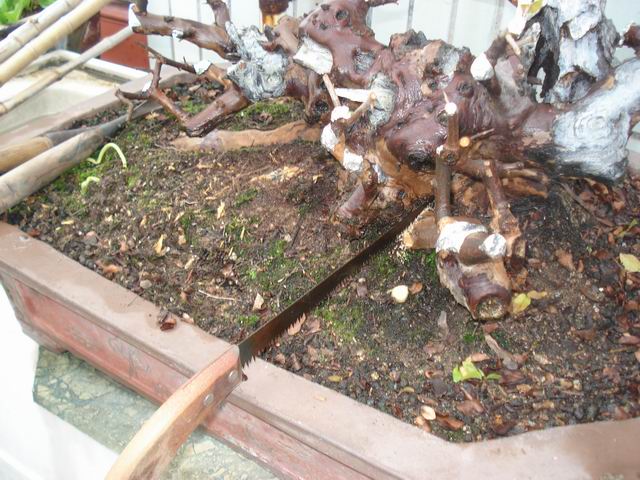 DSC01391.JPG
