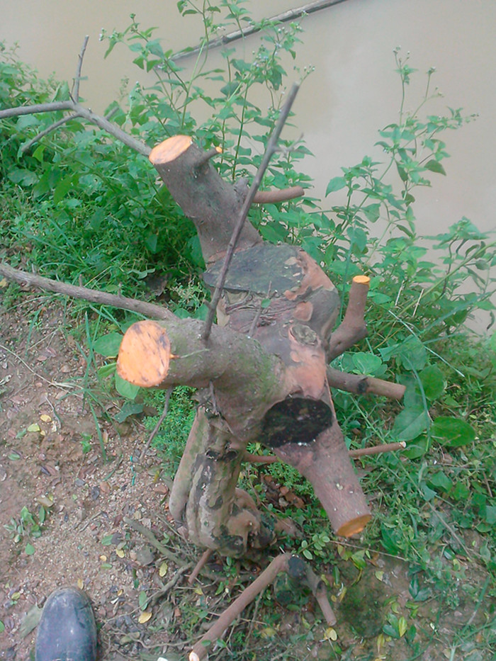 IMG20130824003_.jpg