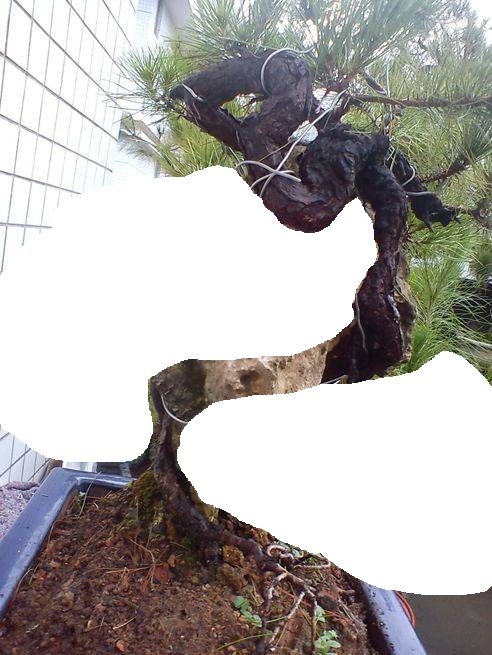 224534vgow3g68popo163x_jpg_thumb.jpg