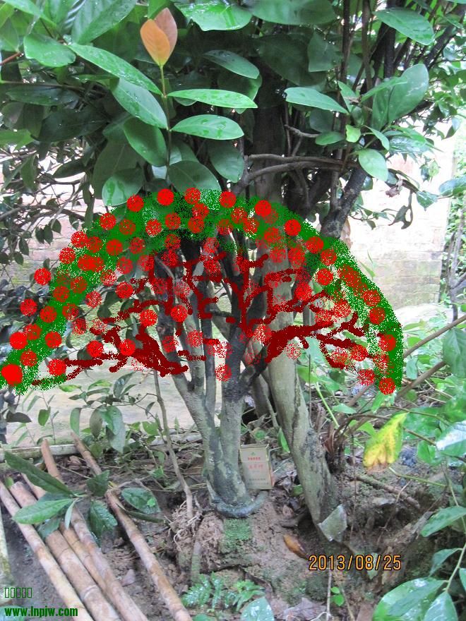 Ƭ 168.jpg