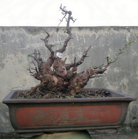 201308271420.jpg