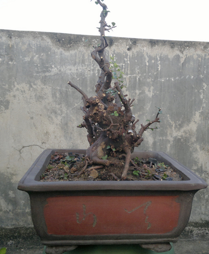 201308271421.jpg