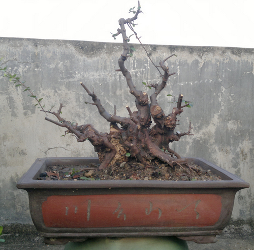 201308271422.jpg