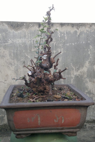201308271423.jpg