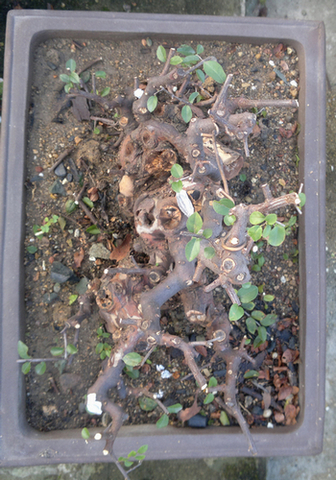 201308271424.jpg