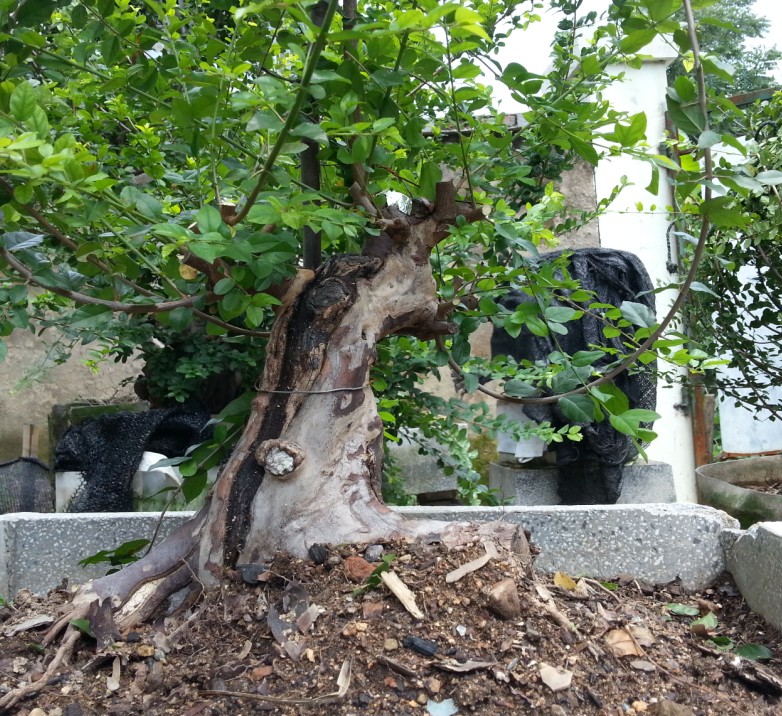 QQͼ20130828140505.jpg
