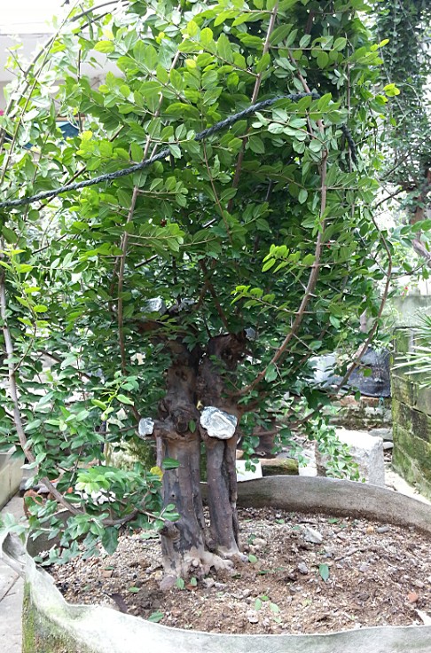 QQͼ20130828140726.jpg