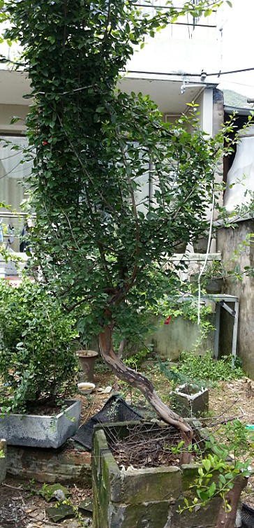 QQͼ20130828140731.jpg