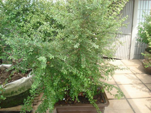 DSC01428.JPG