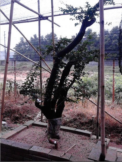 QQͼƬ20130828235343.jpg