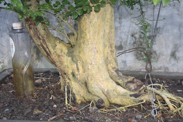 ˲