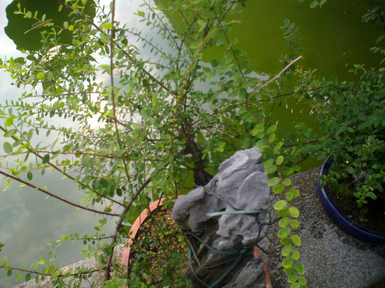 20130811861.jpg