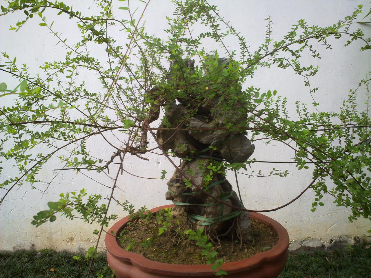 20130811865.jpg