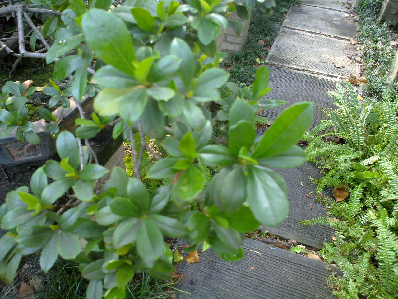 20130811889.jpg
