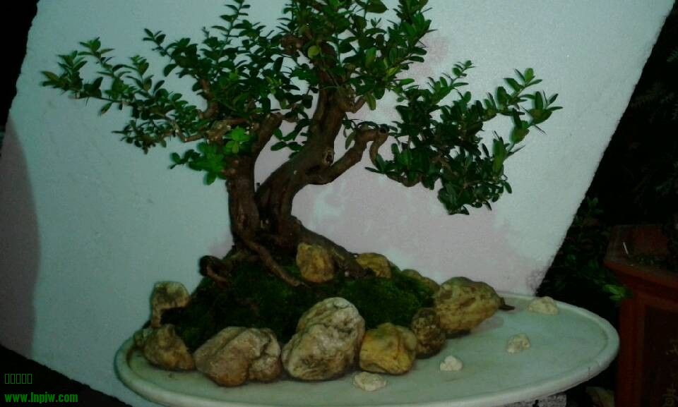 QQͼƬ20130830130755.jpg