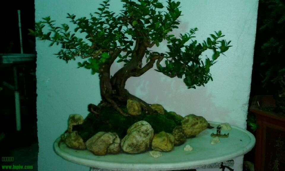 QQͼƬ20130830130804.jpg