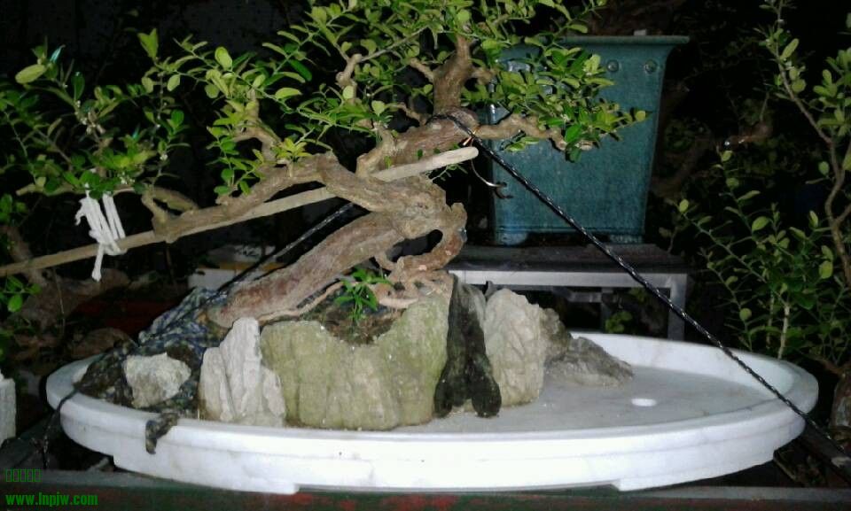 QQͼƬ20130830130811.jpg
