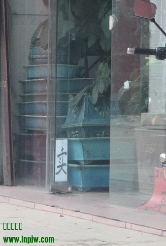 IMG_7999_СС.JPG