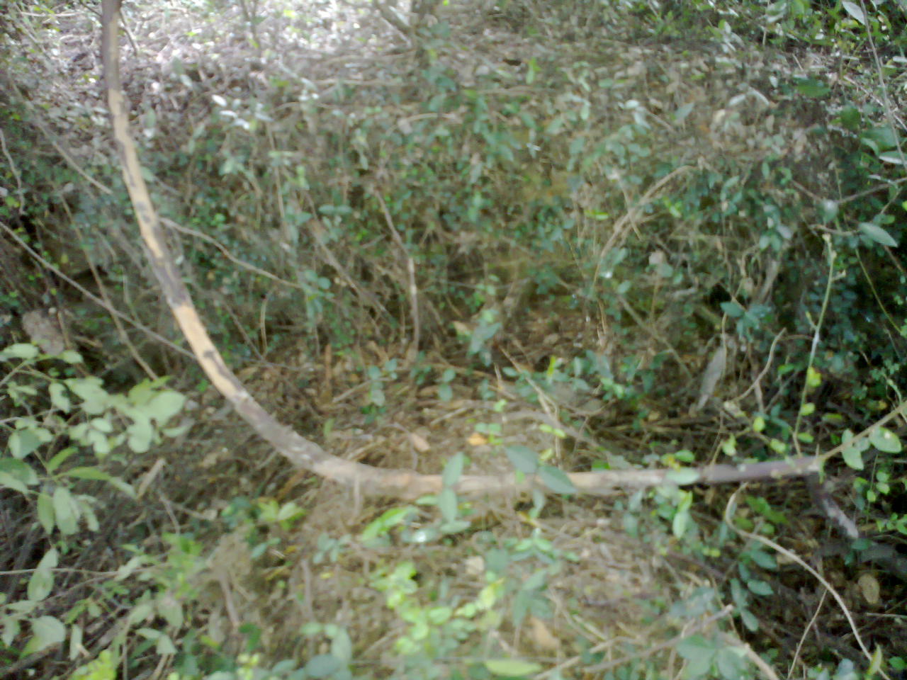 20130829948.jpg