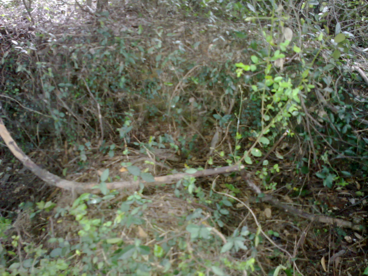 20130829951.jpg