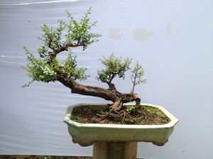 QQͼƬ20130901124508.jpg