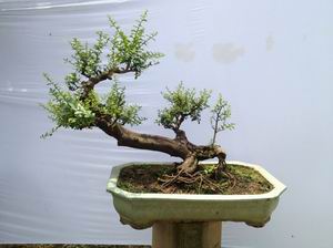 QQͼƬ20130901124405.jpg