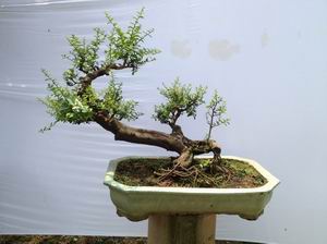 QQͼƬ20130901124614.jpg