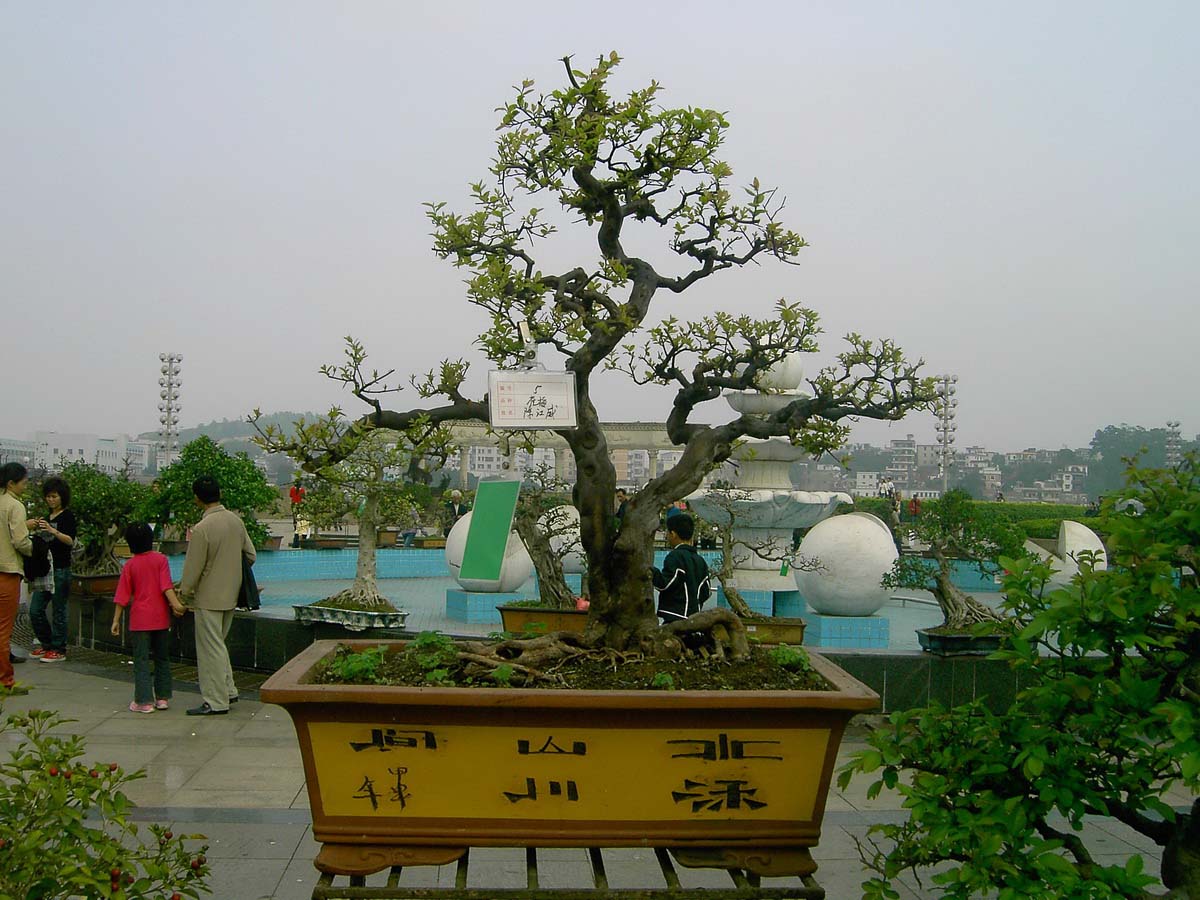 辰_016.jpg