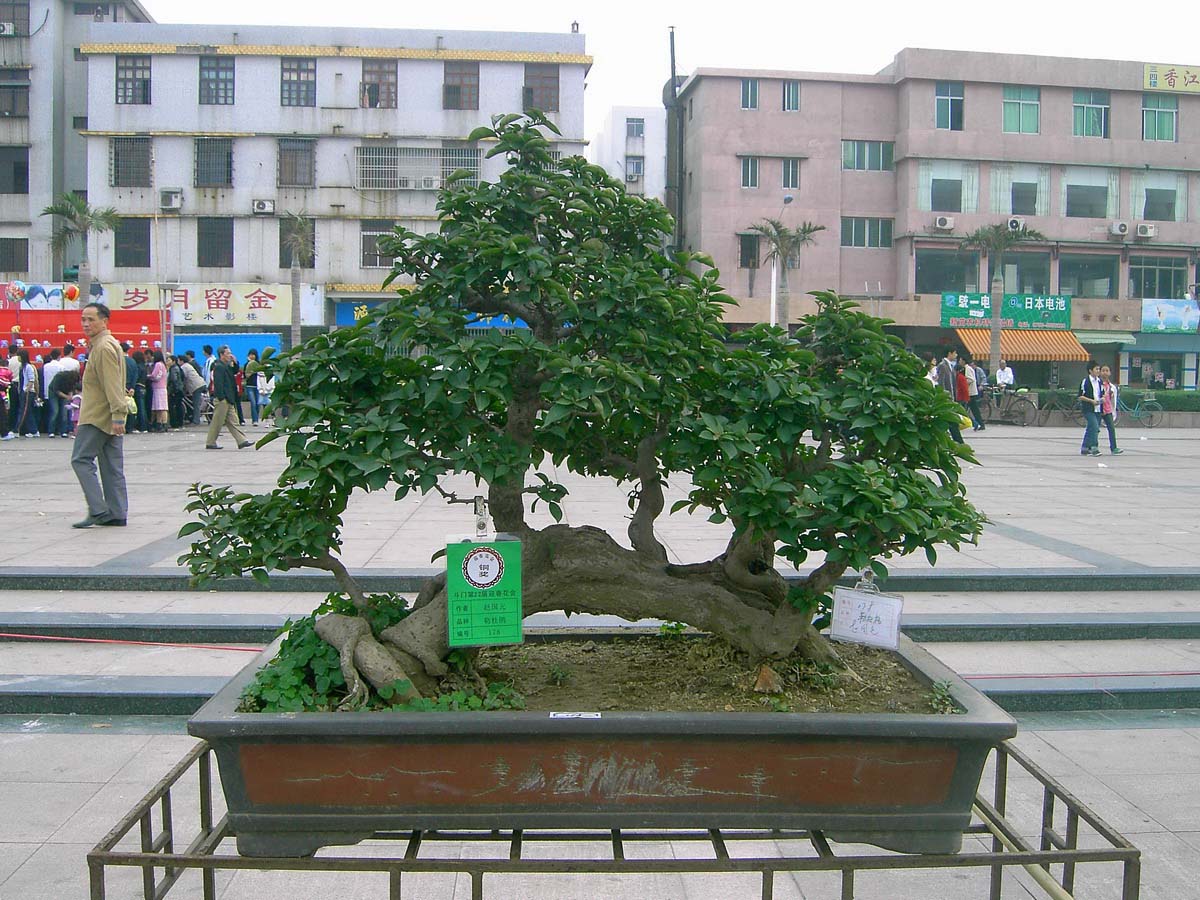 辰_033.jpg