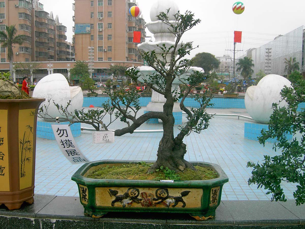 辰_050.jpg