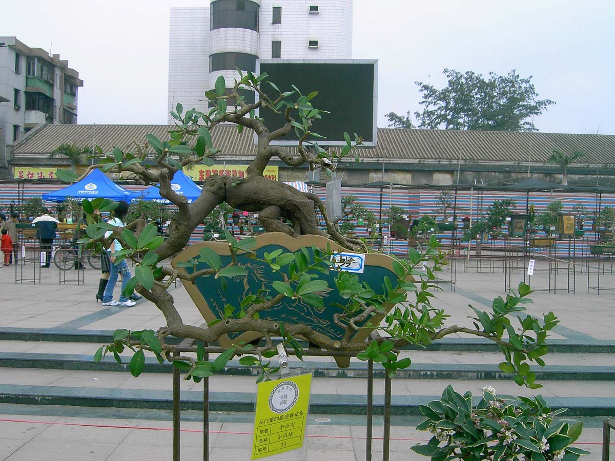 辰_058.jpg
