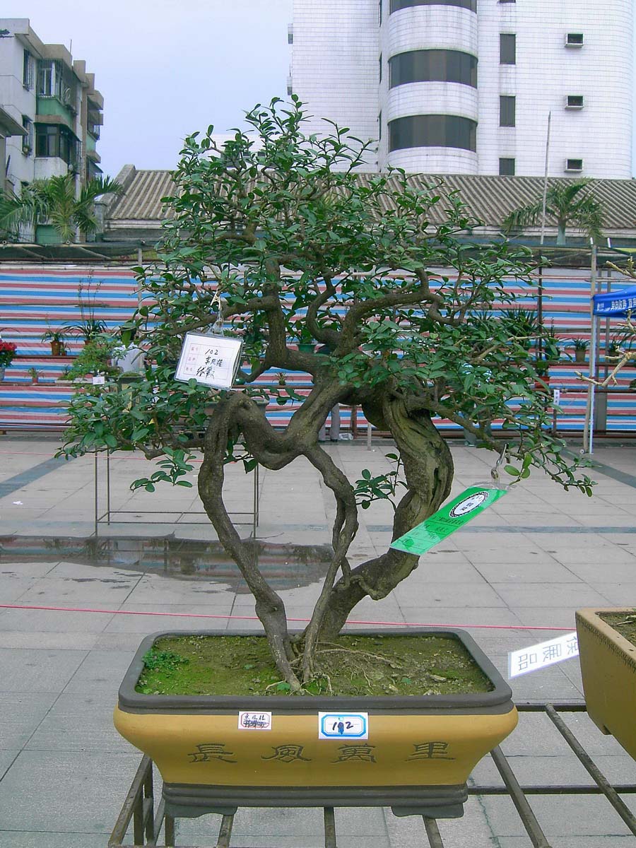 辰_067.jpg