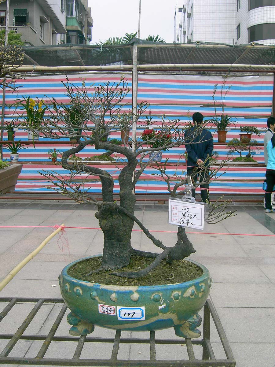 辰_074.jpg