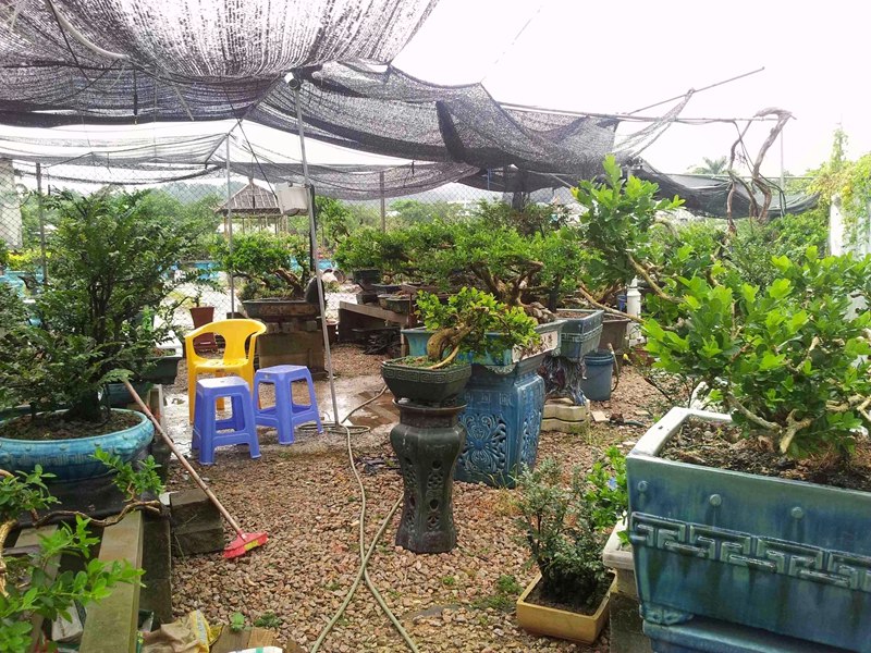20130903_162414.jpg
