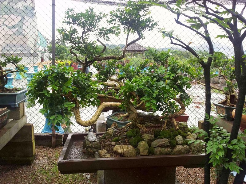20130903_161951.jpg