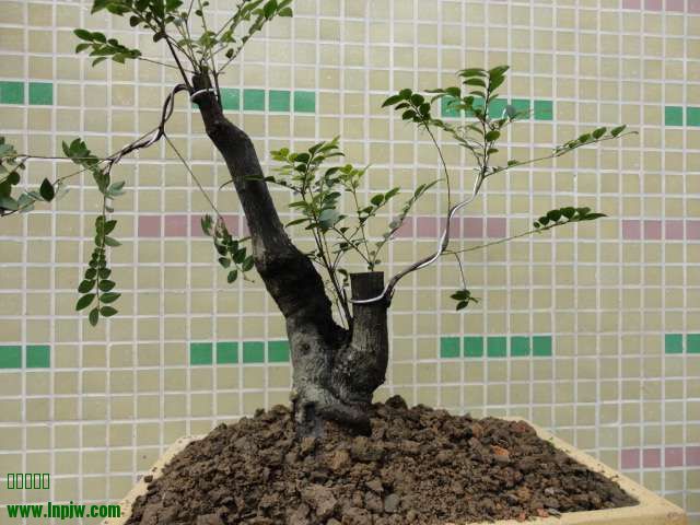 210421ldu676ddg4mud7pj_jpg_thumb.jpg