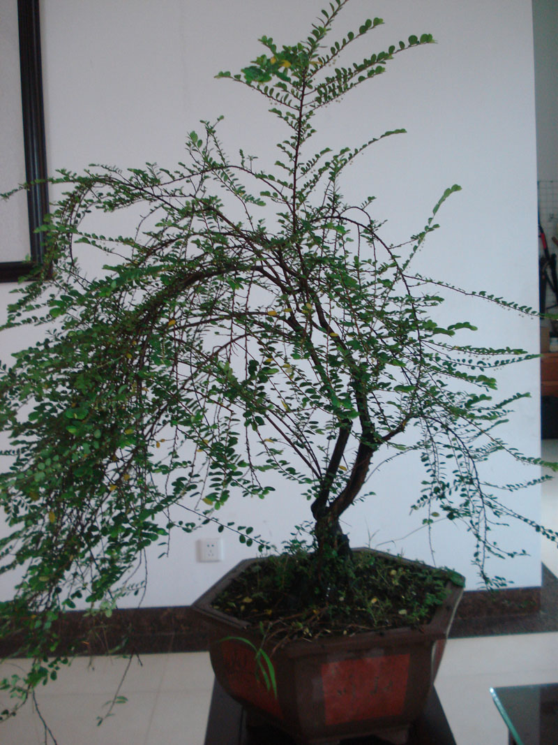 DSC00306.JPG