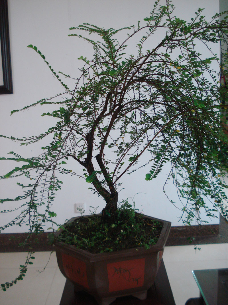 DSC00307.JPG