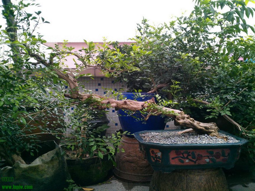 IMG_20130904_180234.jpg