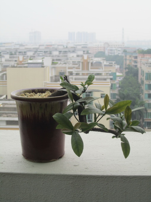 IMG_7489_С.JPG
