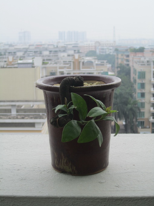 IMG_7493_С.JPG