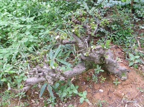 QQͼƬ20130906223153.jpg