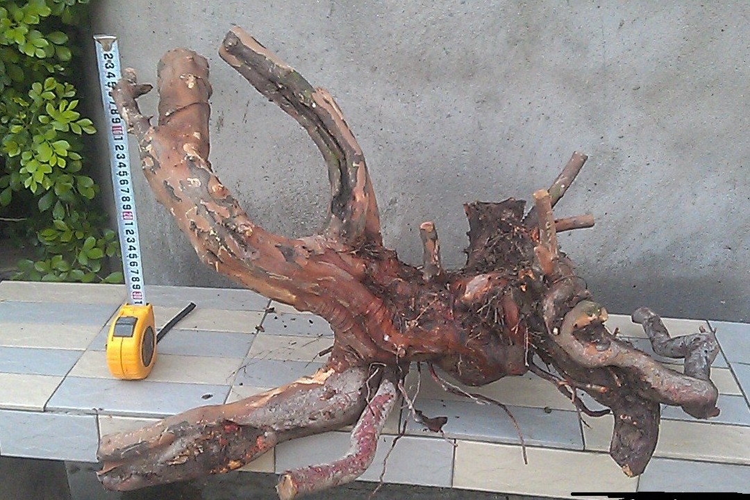 QQͼ20130907081116.jpg