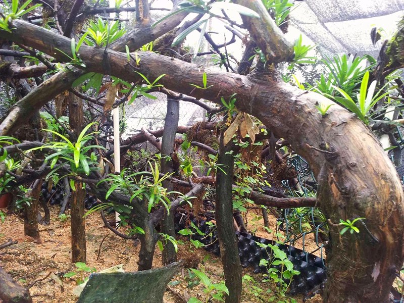 20130903_161741.jpg