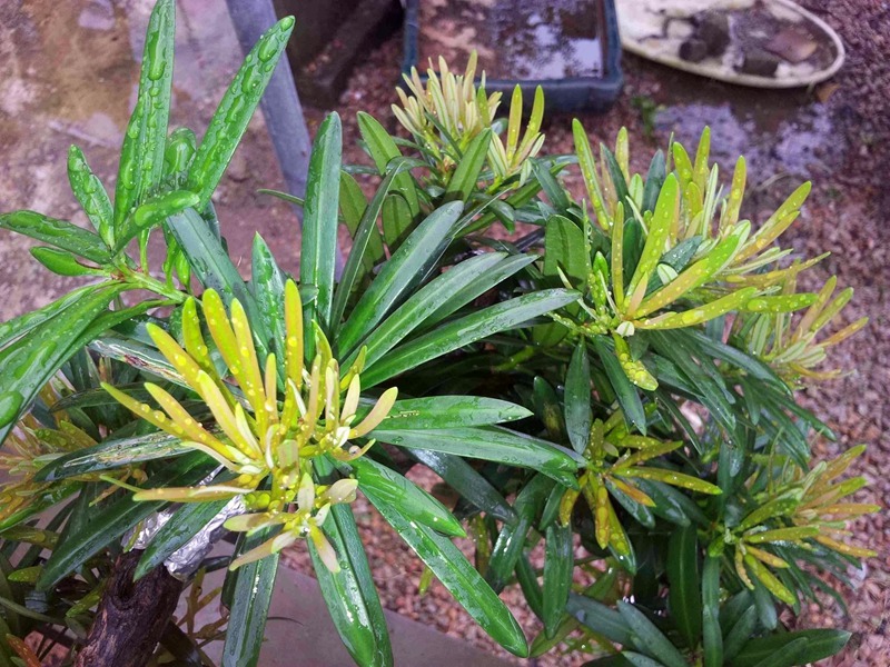 20130903_161900.jpg