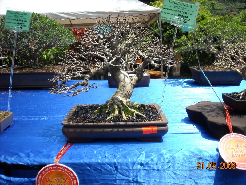 dscn0510.jpg