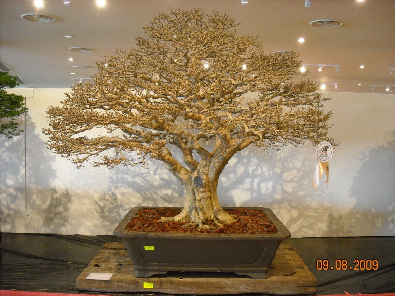 dscn1010.jpg