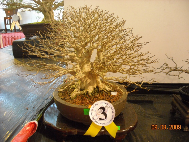 dscn1111.jpg