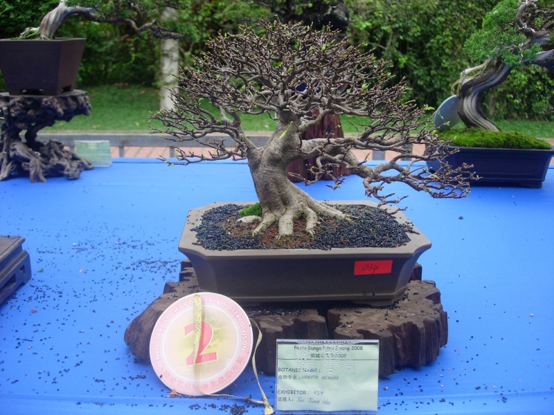 dscn5010.jpg