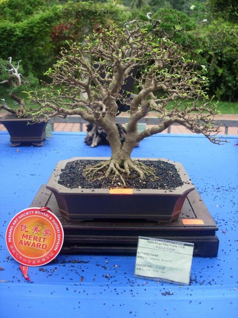 dscn5011.jpg